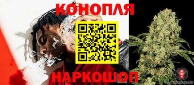 трава Бузулук