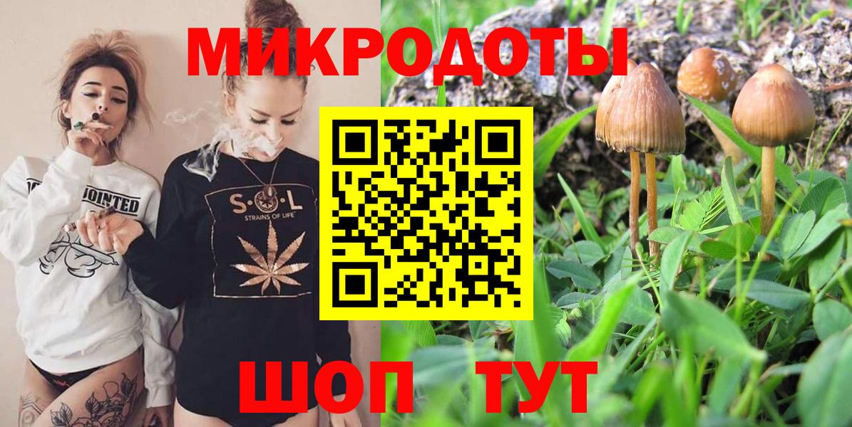 Псилоцибиновые грибы Psilocybine cubensis  Псилоцибиновые грибы GOLDEN TEACHER  Новочебоксарск  Вход с VPN 